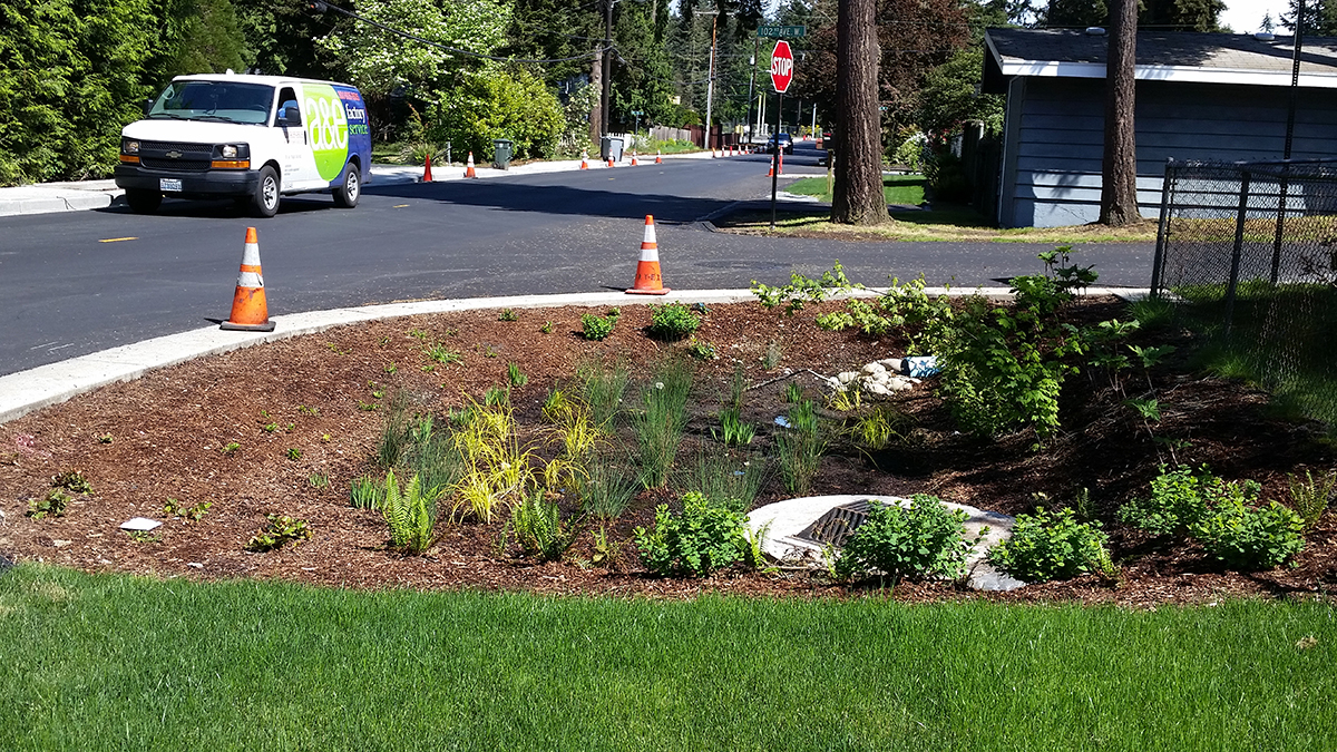 238th Street SW Walkway and Drainage Improvements Project