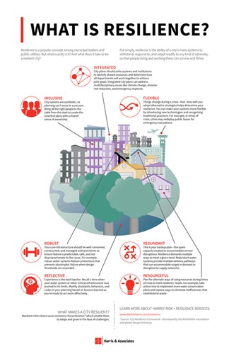 What is Resilience? Infographic