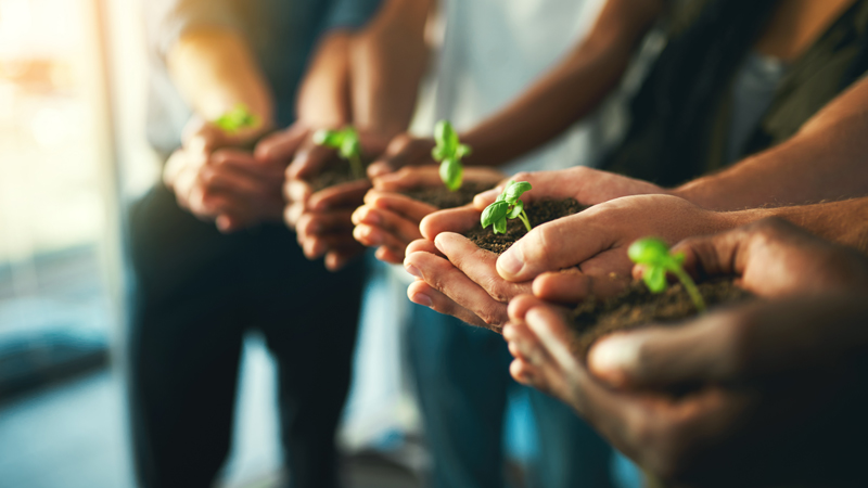 Diversity, Equity, and Inclusion in the Environmental Profession