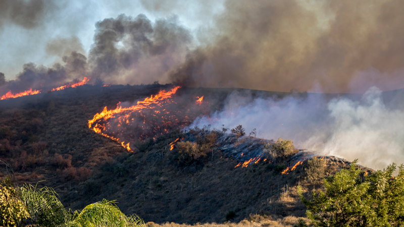 Unlock Federal Funding for Resilience Projects Through HMGP DR-4856