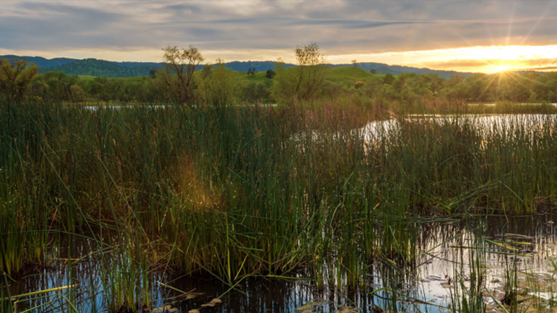 Governor Newsom Signs 2025 CEQA Reform Bills (AB 130 and SB 131) Streamlining Housing and Infrastructure Projects