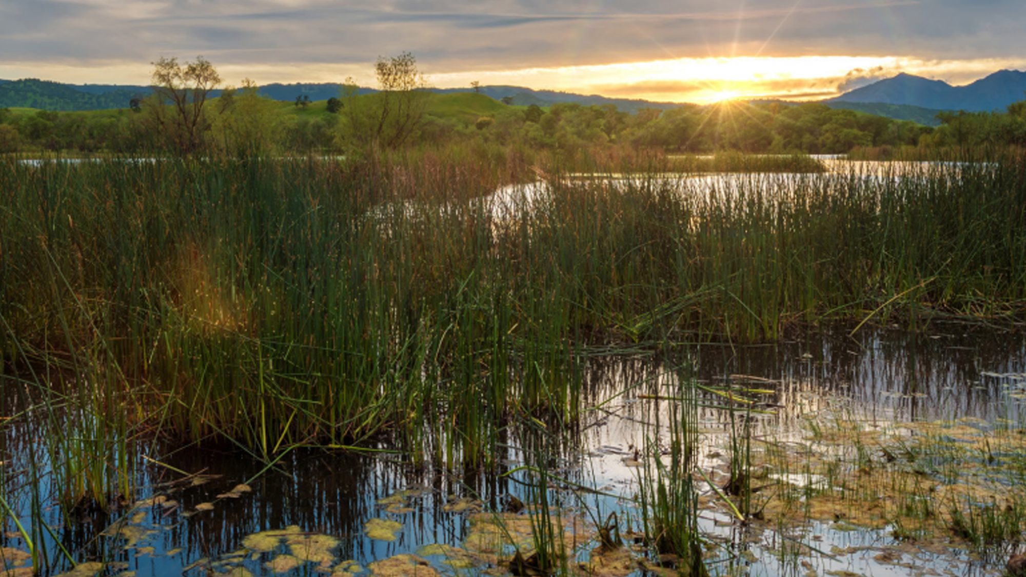 Environmental Planning + Compliance 