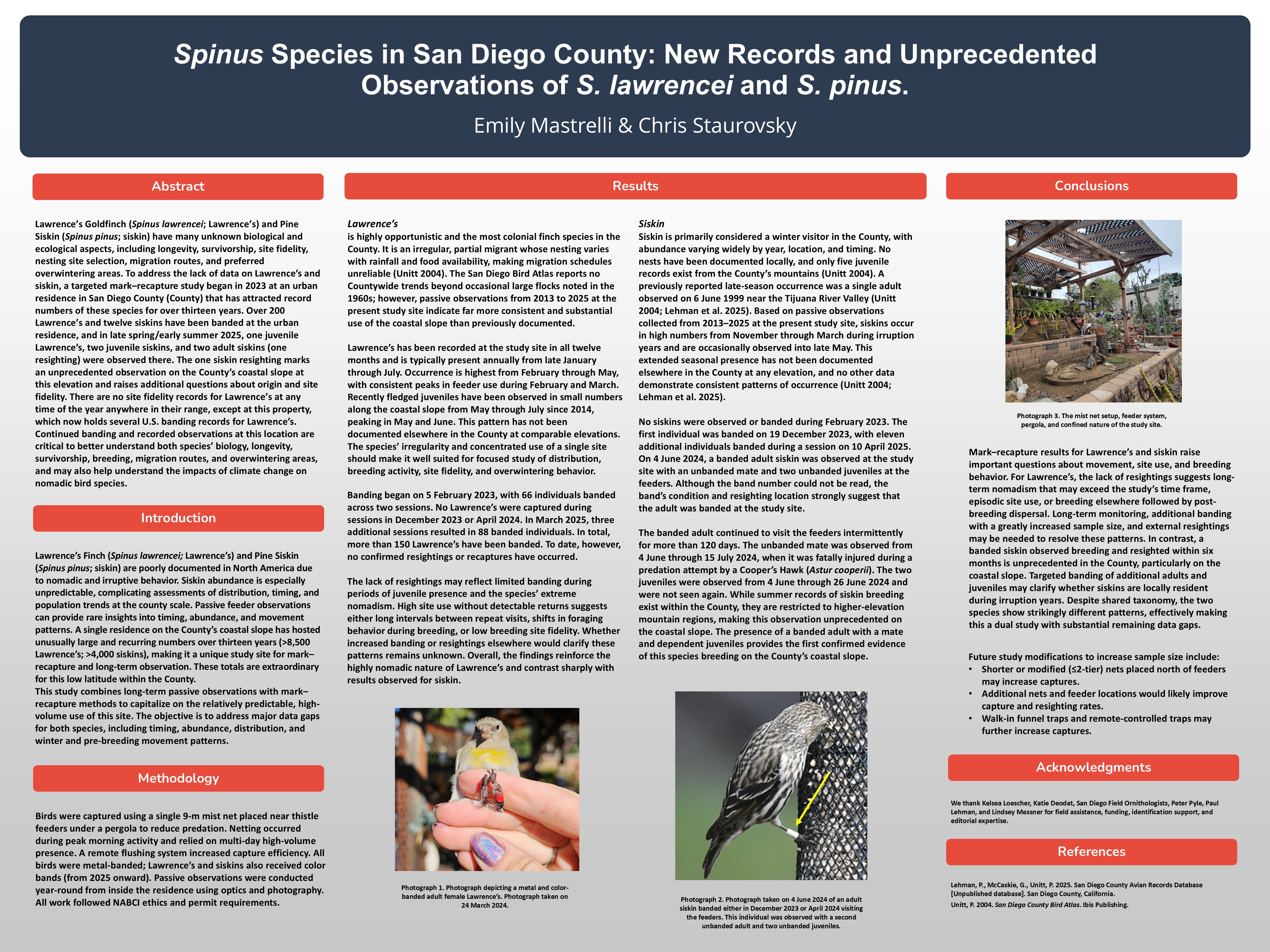 Spinus Species in San Diego County: New Records and Unprecedented Observations of S. lawrencei and S. pinus.